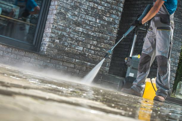 Best Warehouse Cleaning  in Walton Park, NY